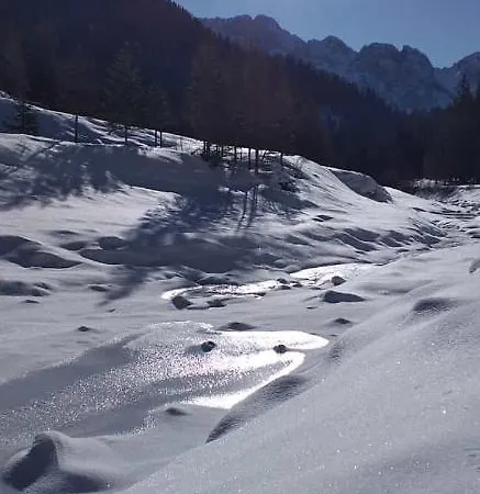 Lägenhet Anna & Gino Sappada