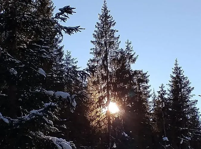 Anna & Gino サッパーダ